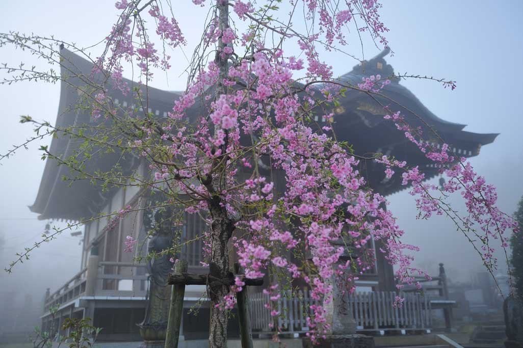 観久山　潮音寺