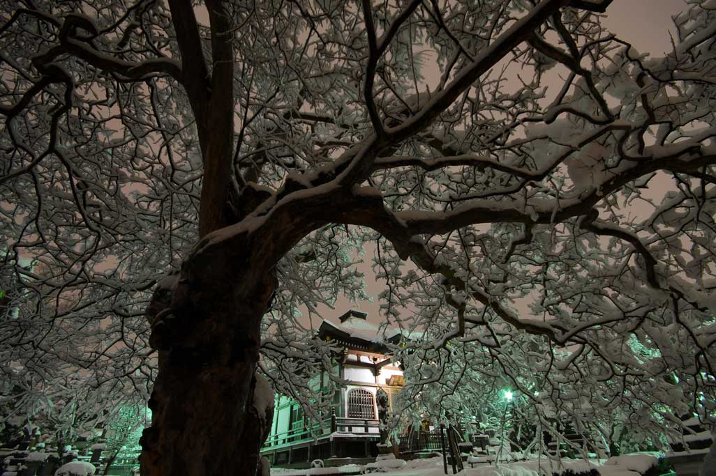 観久山　潮音寺