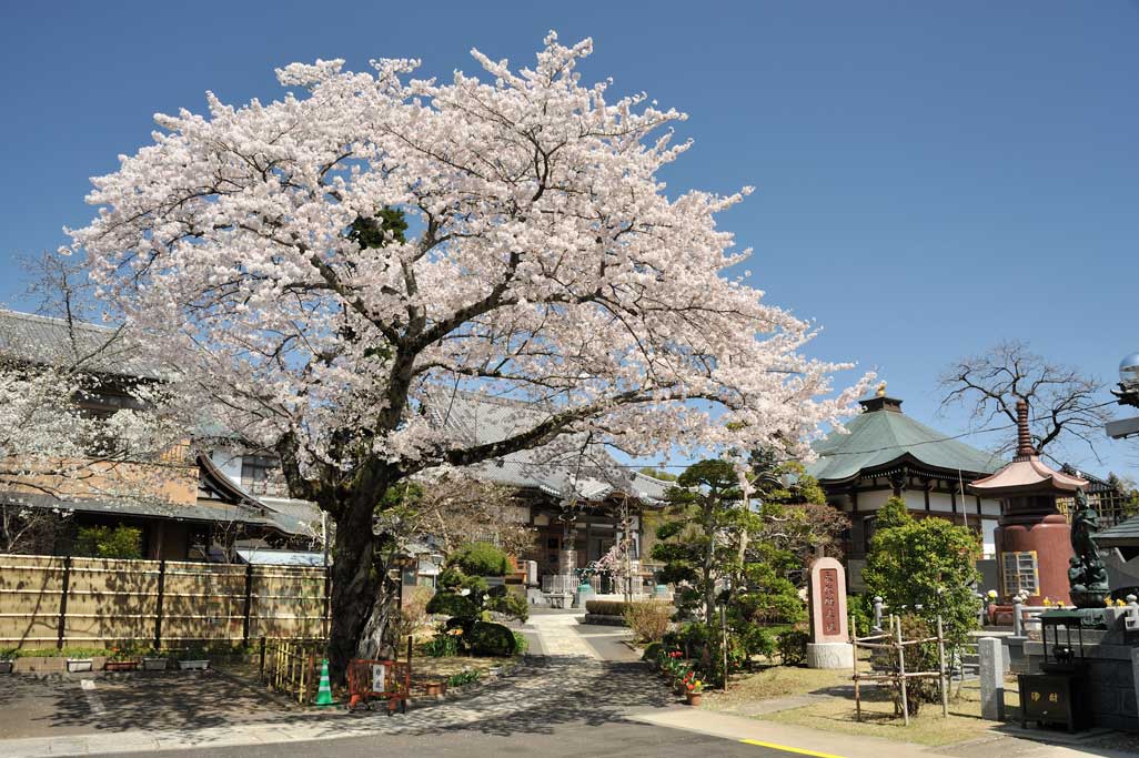 観久山　潮音寺
